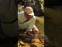 DOG'S BOLLOCKS AND B*TCHES T*TS #flyfishing