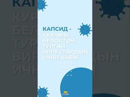 КАПСИД деген эмне? ВИРУСТАРДЫН курамы. БИОЛОГИЯ. ЖРТ 2023-2024 #жрт #кыргызча #shorts