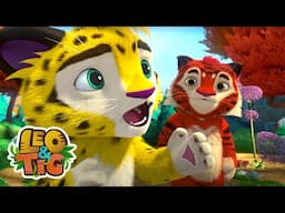 Inspiração Perdida / Leo & Tig | Desenhos infantil 🐯🦁