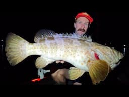 Gold Coast STORM FISHING