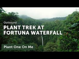 FORTUNA WATERFALL Costa Rica Plant Trek – Ep. 409