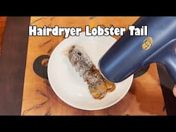 Cooking a Lobster Tail with a Hairdryer