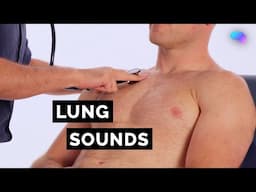 Lung sounds | Breathing Sounds | Auscultation | Stethoscope | UKMLA | CPSA | PLAB 2