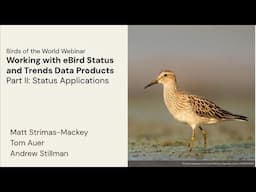 Working w. eBird Status and Trends Part II: analyzing Status data in R