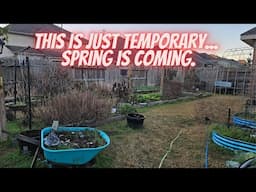 February 2025 Garden Tour, Part 1 || DHBG