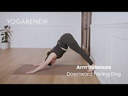 Arm Balance Online Workshop - Downward Facing Dog (Against the Wall) with Mélie Purdon | YogaRenew