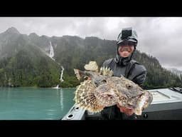 600 mi Alaska Road Trip - Eating What I Catch