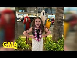 Make-A-Wish wish kid Brynn takes big trip to Hawaii