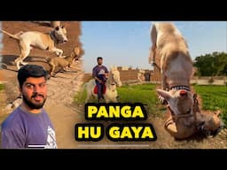 Rocky Or Madam Ka Panga Hu Gaya | Punjabi Shok Vlogs