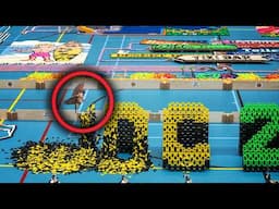 Bird Wreaks Havoc on Dominoes World Record Attempt | Tales From the Bottle