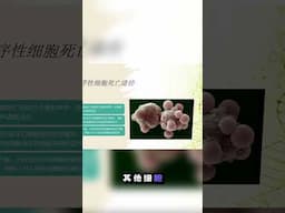 细胞死亡的秘密：内外途径大揭秘！🔍