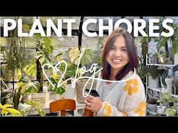 Relaxing Plant Chores Vlog | New Anthuriums | Home Depot Tour & Plant Care ✨🌿