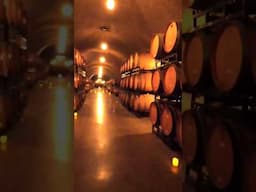 Joseph cellar wine cave tour. #napavalley #winelovers #winery