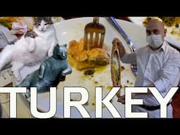 Turkey Travel: Famous Cats | Famous Baklava | Fabulous Pizza