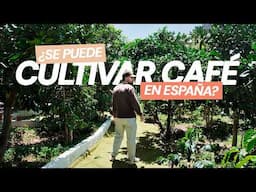 No creerás lo que vimos en Canarias | El Cafetal en Canarias #01