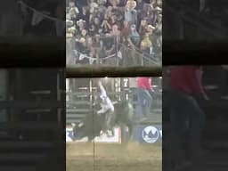 Bull Riding Buck-Offs with High-Flying Cowboys