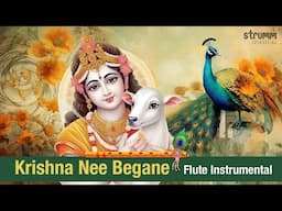 Krishna Nee Begane Baro I Flute Instrumental