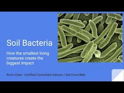 Unlocking Garden Abundance with Bacteria | Part 1 with Kevin Chee