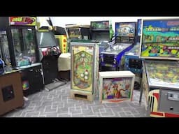 Repairing A Bally SAFARI Pinball Machine - A Goofy Ted Zale Design!