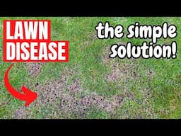 How to fight DISEASE in your LAWN this WINTER