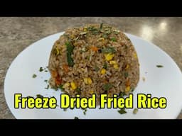 Freeze Dried Fried Rice