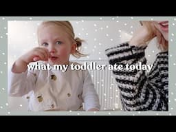 What My Toddler Ate Today | Rhiannon Ashlee