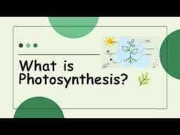 What is Photosynthesis? | Easy explanation | Photosynthesis: The Energy Source for All Life on Earth