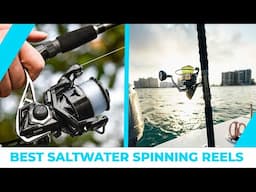 Best Saltwater Spinning Reels - Expert's Choice!