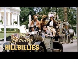 💰 The Beverly Hillbillies 💰