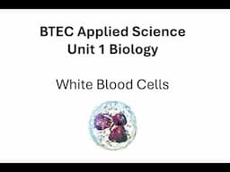 BTEC Applied Science: White Blood Cells