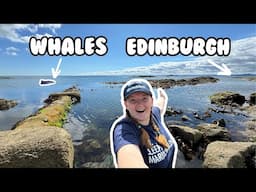 What to do in Edinburgh? Whale Watching and Rockpooling only 8 Miles away!