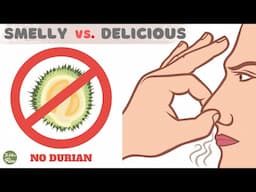 What Does Durian Taste Like? | Thailand Exotic Fruits