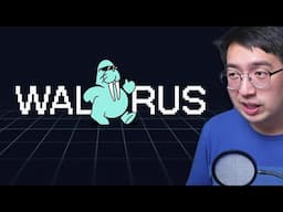 Walrus - Sui's next BIG protocol