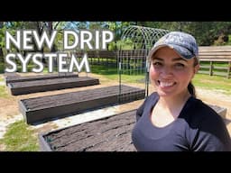 New Drip System | Drip Depot