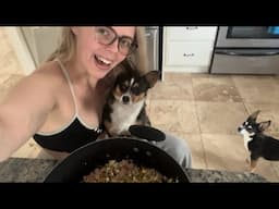 How to Make Homemade Dog Food | Healthy Recipe and Save Money