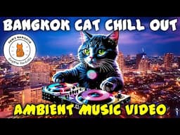 THE #1 CAT CHILLOUT VIDEO ON YOUTUBE!! | PAWS Bangkok 🐱🐱