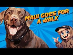 Going for a Walk with Maui