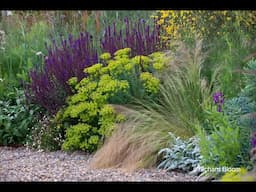 Sue Townsend - Garden Designer - in conversation