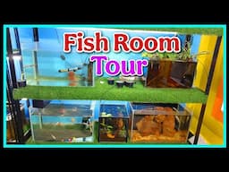 Fish Room Tour [ BACK Guys 😎 ] ✌️✌️