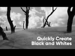 From Color to Classic: Black & White Editing Simplified