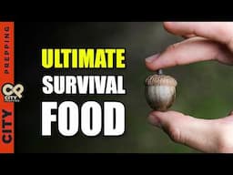 The Ultimate Overlooked Survival Food