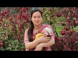 Cute Baby Happy With Mother: Maya Picked Herbs To Bathe Ly Thi Ca