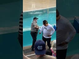 Wait, What just happened here? 🤣👏 Tom mime Seaworld #seaworldmime #funny #comedy #tomthemime #fun