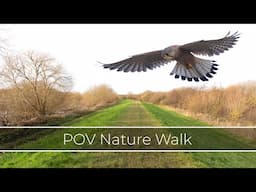 A Relaxing Winter Walk by the River: POV Birding & Nature Photography