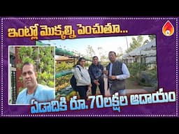 ఇంట్లో మొక్కల్ని పెంచుతూ ఏడాదికి 70 లక్షల ఆదాయం | Farming Business | Amulya Startups.