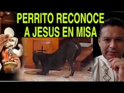 ESTOS ANIMALES RECONOCEN A SU CREADOR!!!