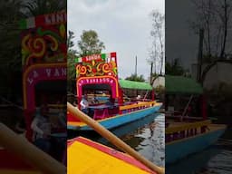 Xochimilco Mexico: Boat Tour on the Canals! #travel