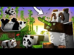 Everything You Need To Know About PANDAS In Minecraft!