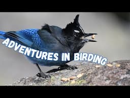 Behind the Scenes | Birding Adventures, Surprises and Fails