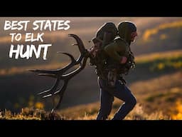 Which States to Hunt Elk?